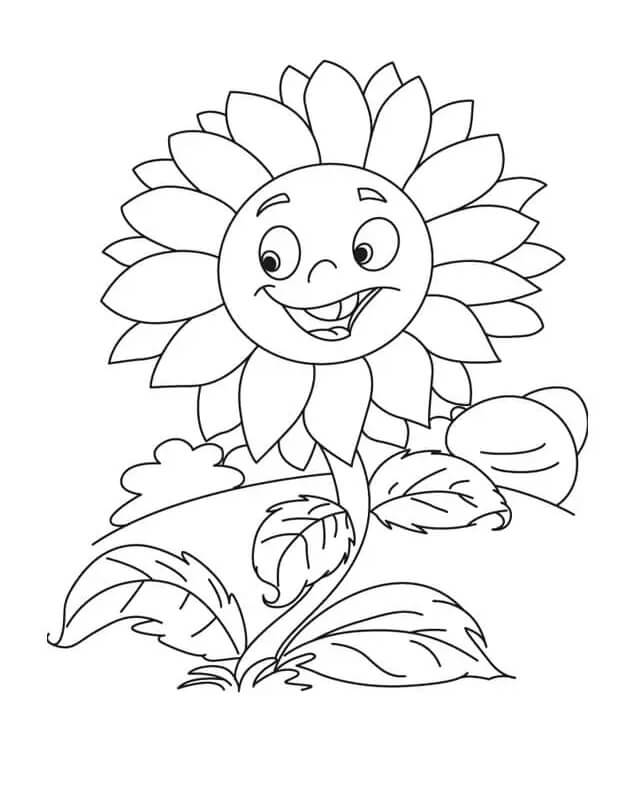 Základní Slunečnice omalovánka