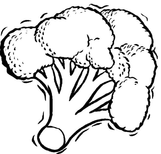 Zdarma Brokolice Obrázek omalovánka
