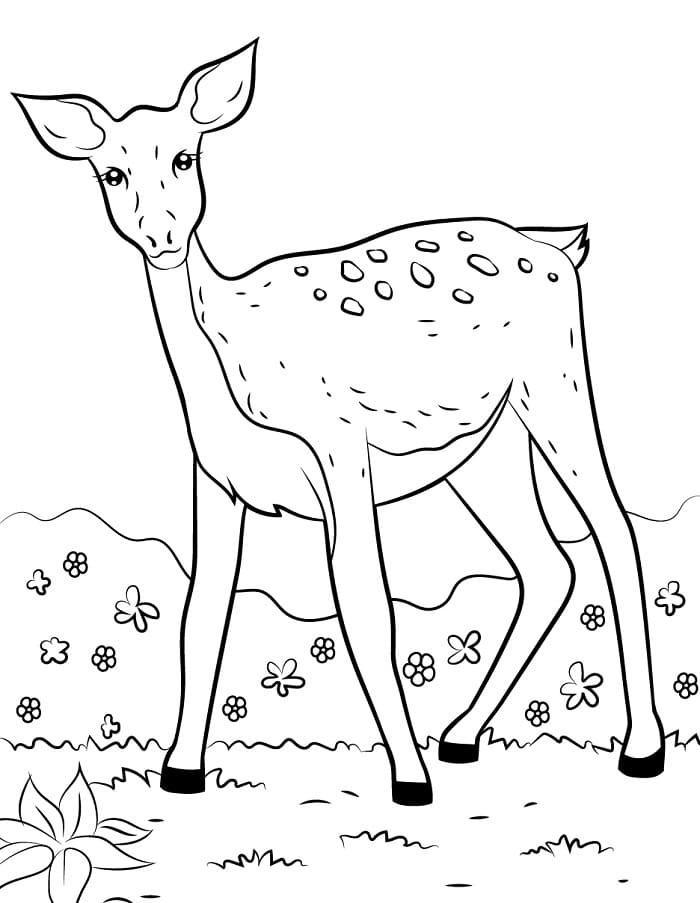 Zdarma Jelen k Tisku pro Děti omalovánka