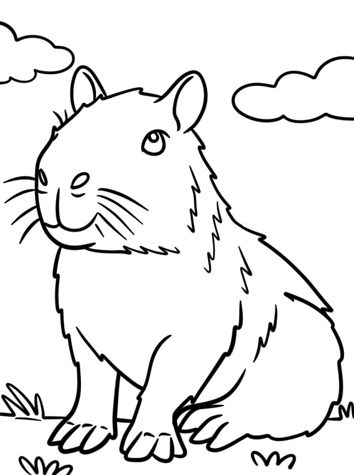 Zdarma Kapybara pro Malé Děti omalovánka