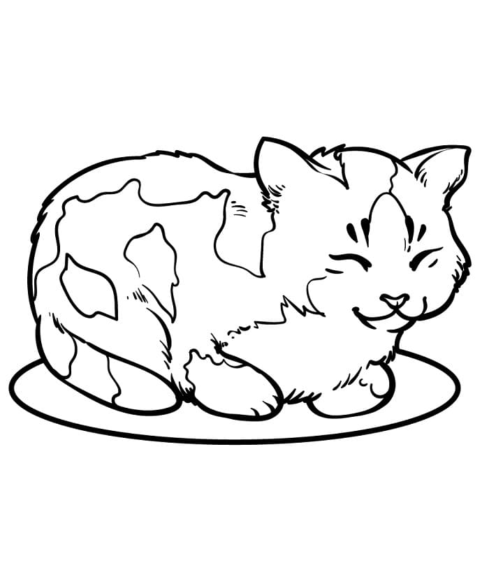 Zdarma Kočka Vymalovatelné omalovánka