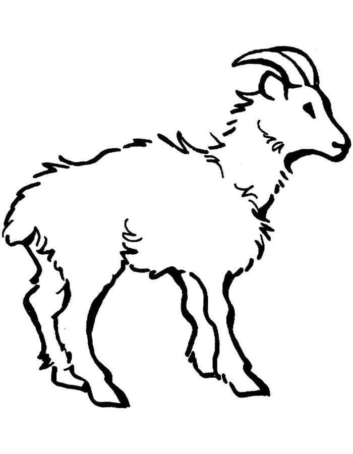 Zdarma Koza pro Malé Děti omalovánka