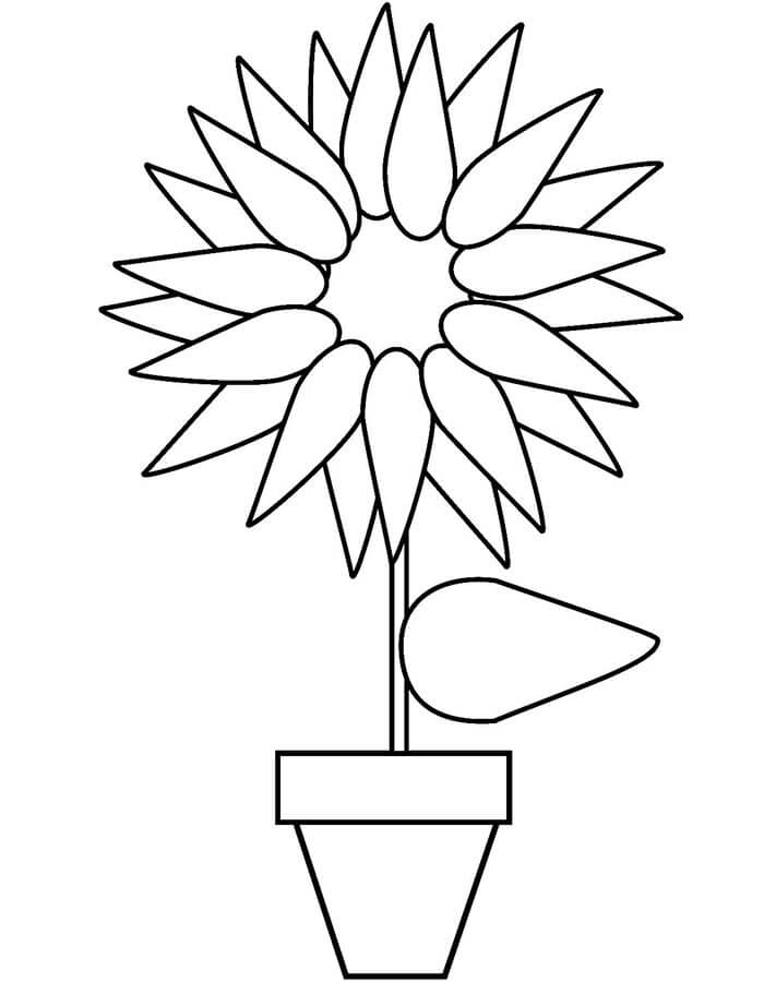 Zdarma Květináč omalovánka