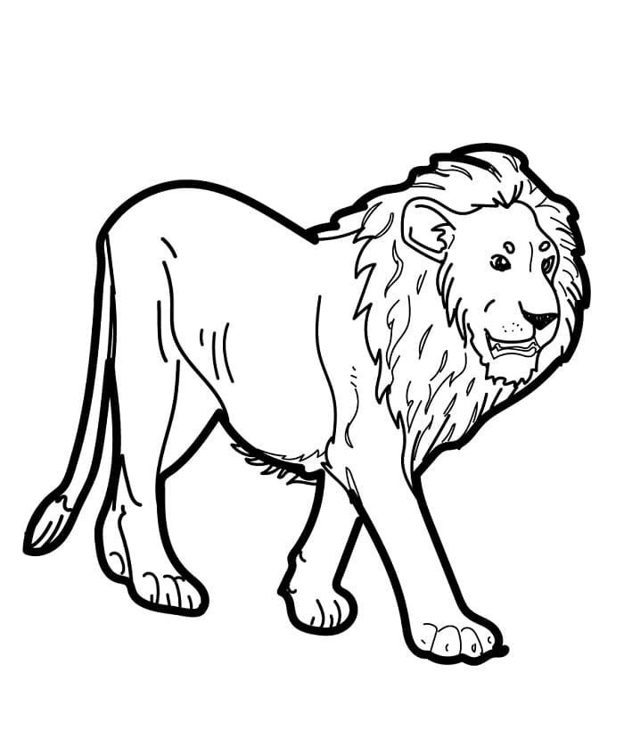 Zdarma Lev Vymalovatelné omalovánka