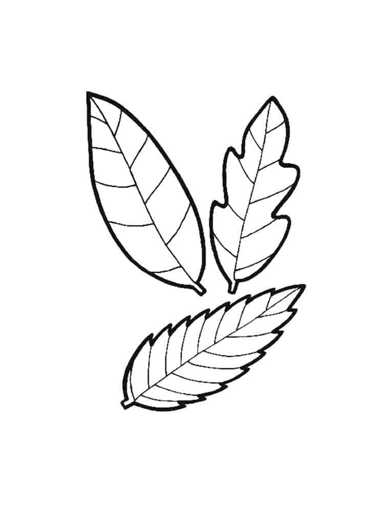 Zdarma List Vymalovatelné omalovánka