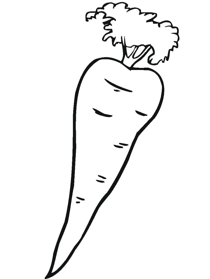 Zdarma Mrkev Obrázek omalovánka