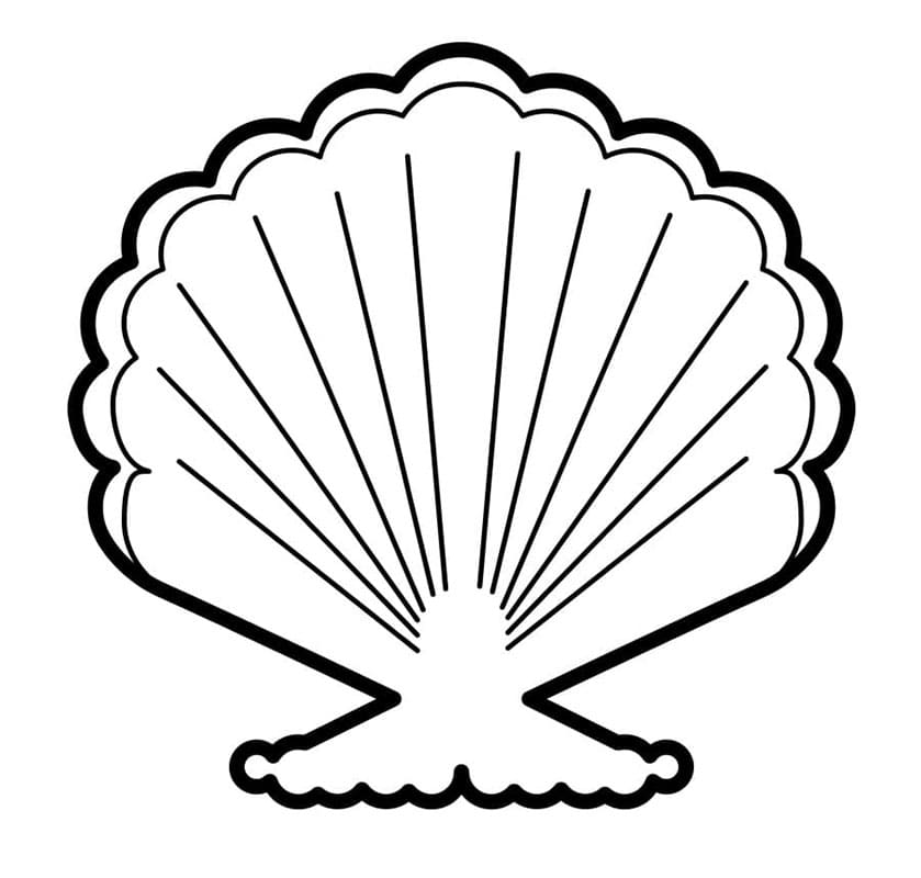 Zdarma Mušle Obrázek omalovánka