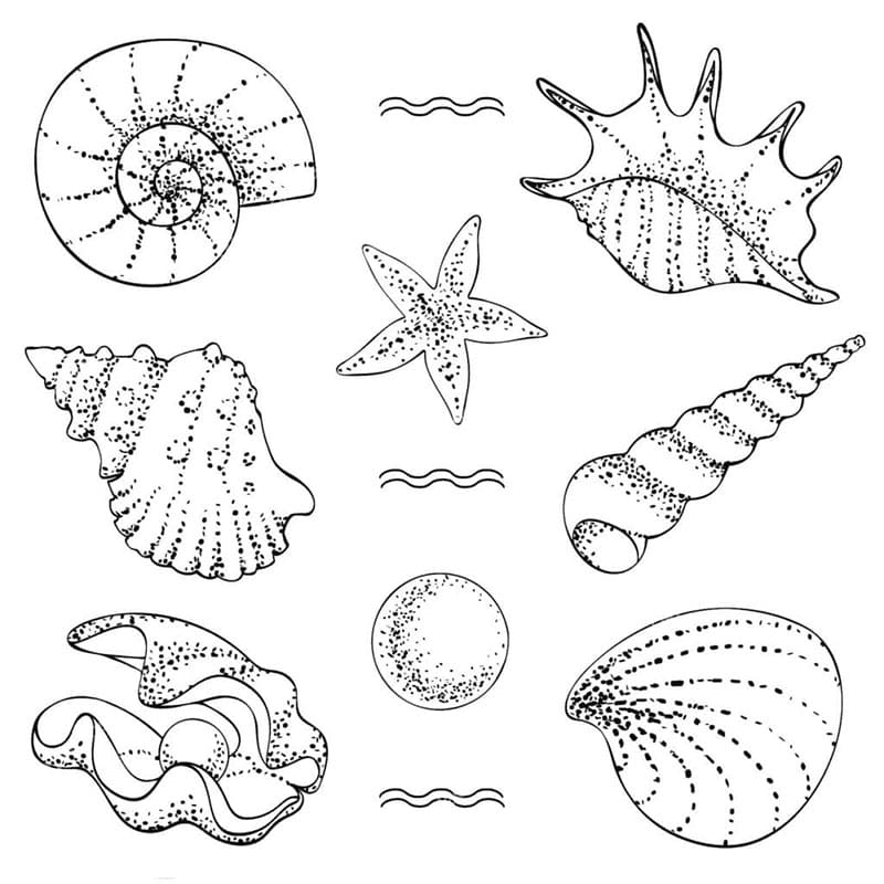 Zdarma Mušle pro Malé Děti omalovánka