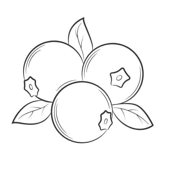 Zdarma Ovoce omalovánka