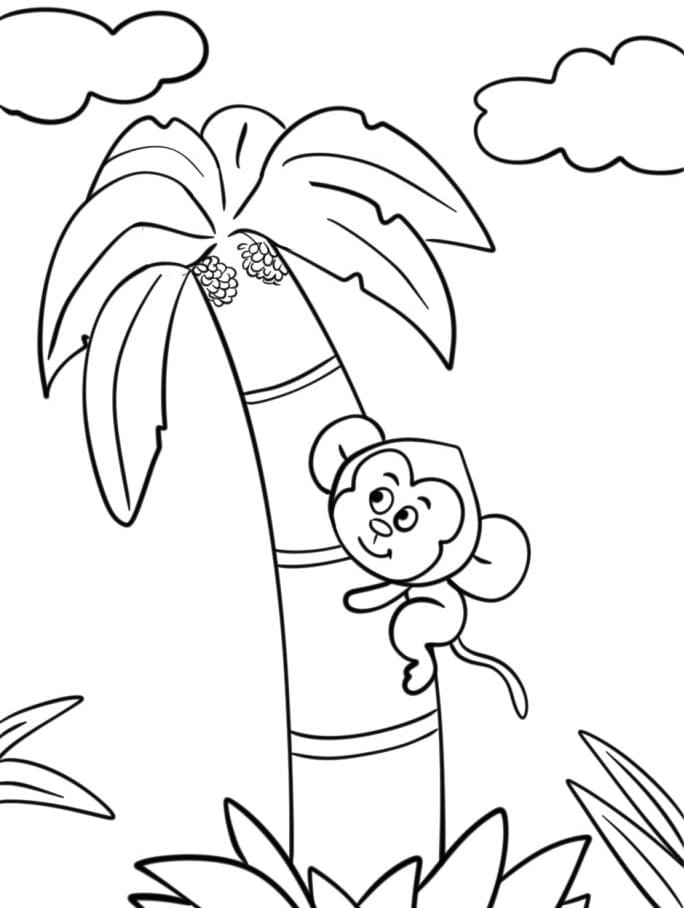 Zdarma Palma Vymalovatelné omalovánka