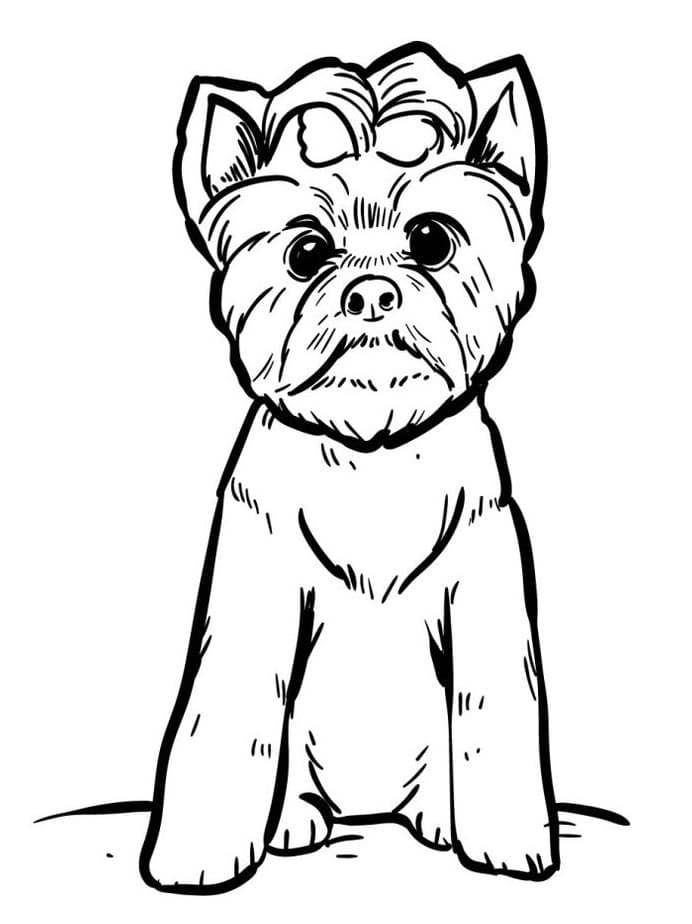 Zdarma Pes Vymalovatelné omalovánka