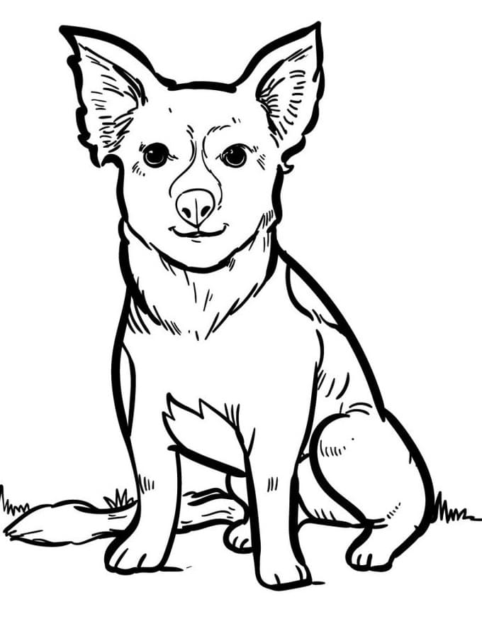 Zdarma Pes pro Malé Děti omalovánka