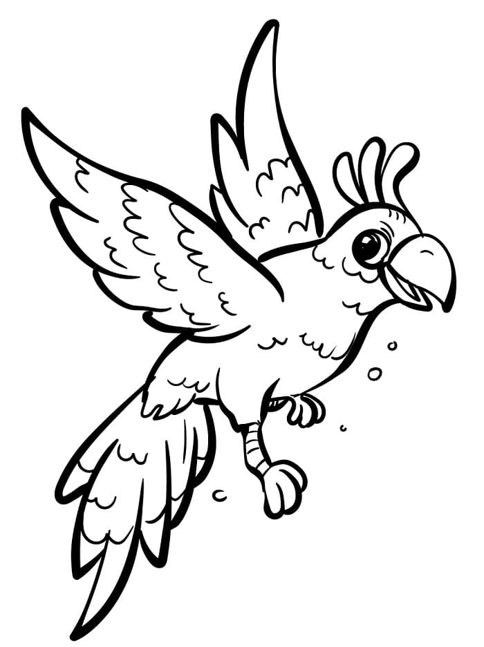 Zdarma Pták pro Malé Děti omalovánka