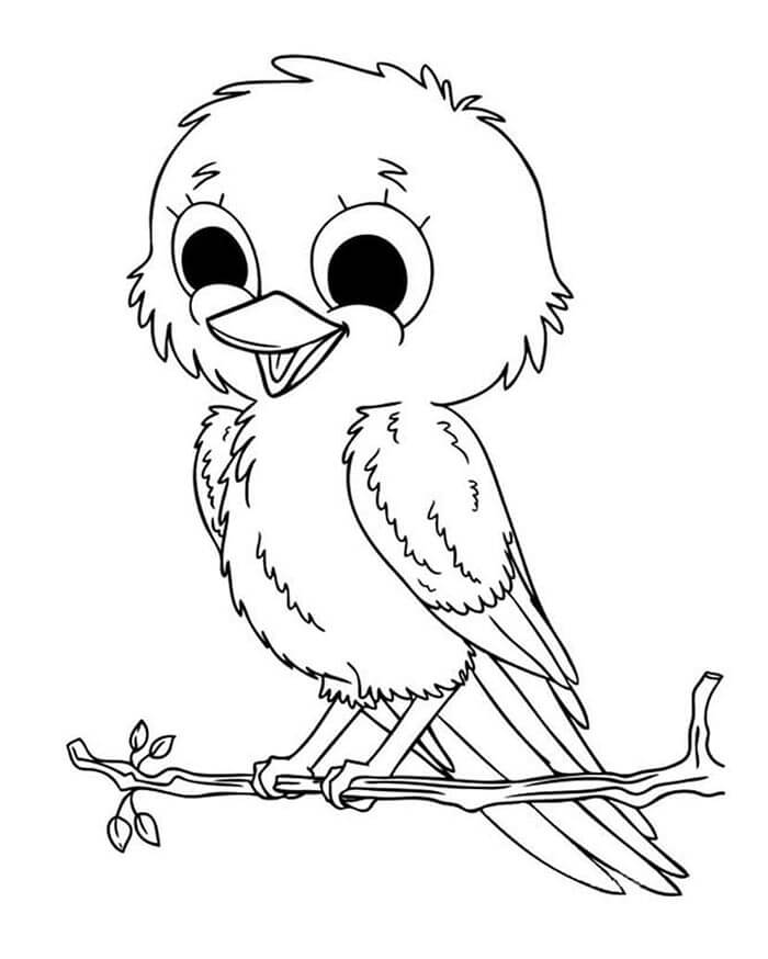 Zdarma Pták omalovánka