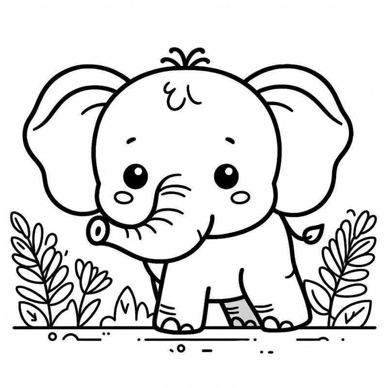Zdarma Slon Obrázek omalovánka