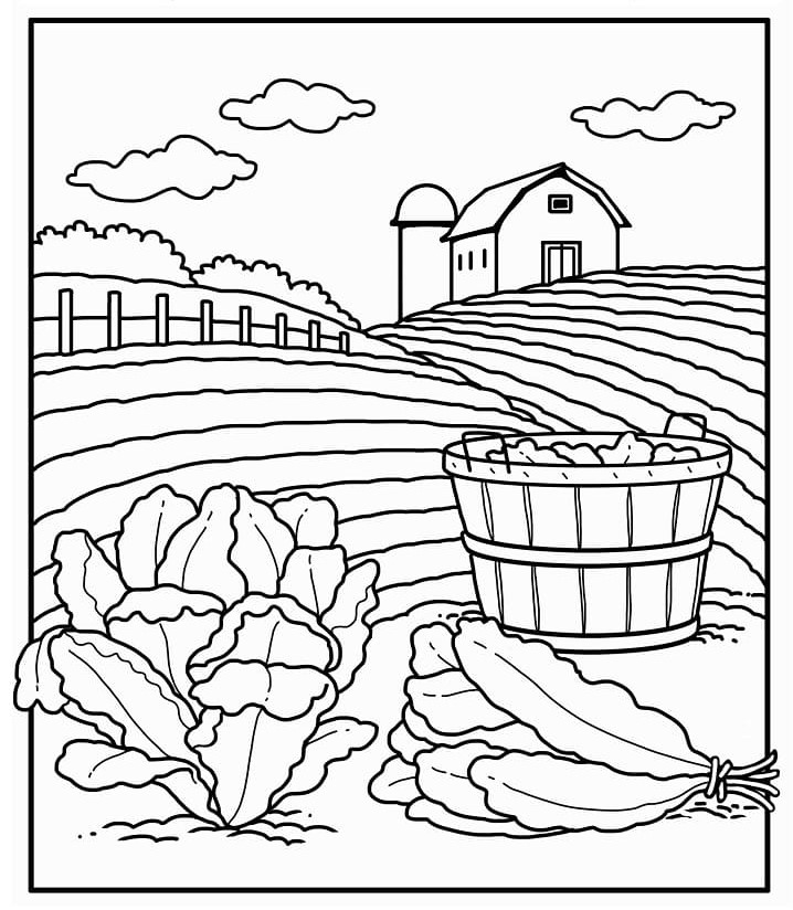 Zdarma Špenát Obrázek omalovánka