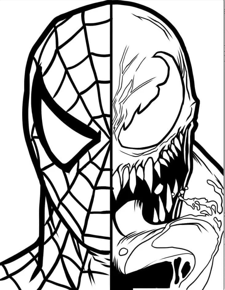 Zdarma Spiderman omalovánka