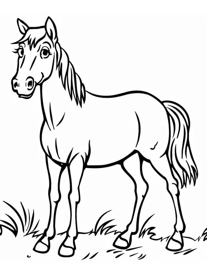Zdarma Tisknutelná Kůň omalovánka