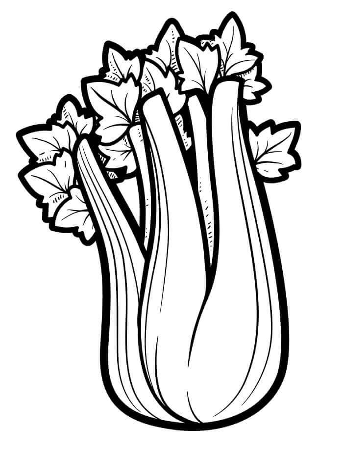 Zdarma Tisknutelná Zelenina omalovánka