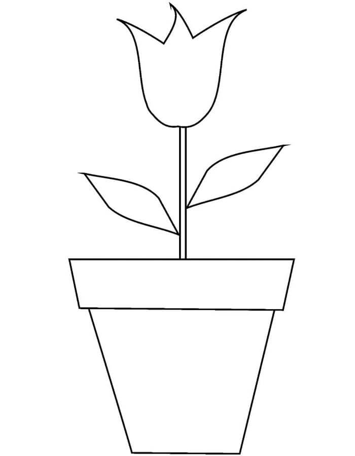 Zdarma Tisknutelný Květináč omalovánka