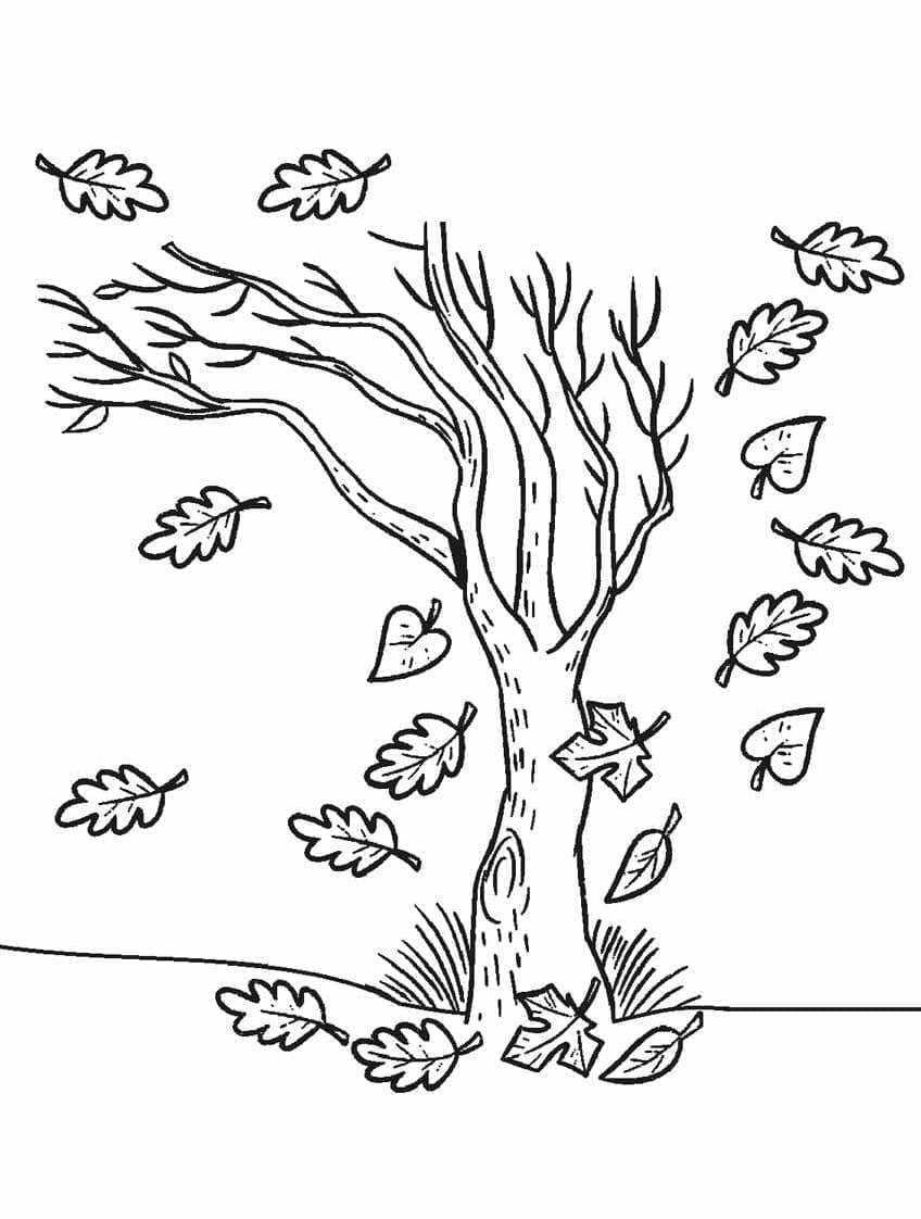 Zdarma Tisknutelný Strom omalovánka