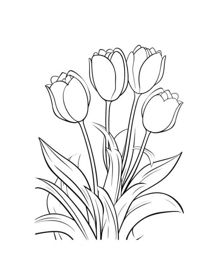 Zdarma Tisknutelný Tulipán omalovánka