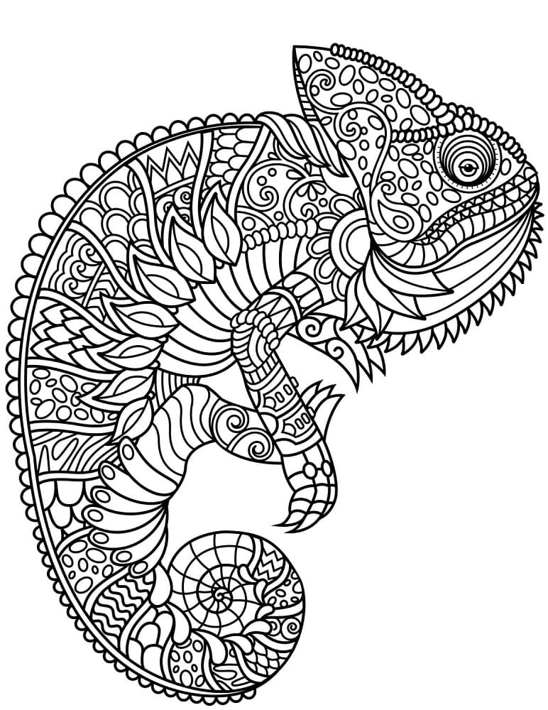 Zdarma Zentangle Obrázek omalovánka