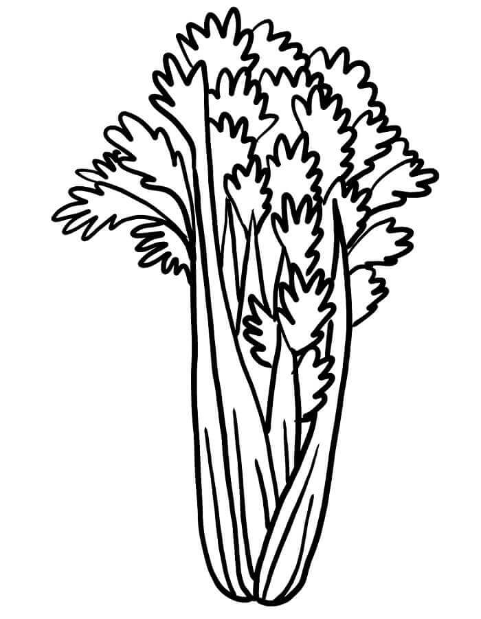 Zelenina (5) omalovánka