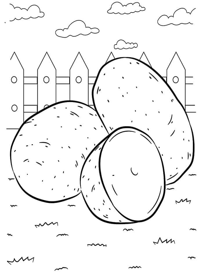 Zelenina (6) omalovánka