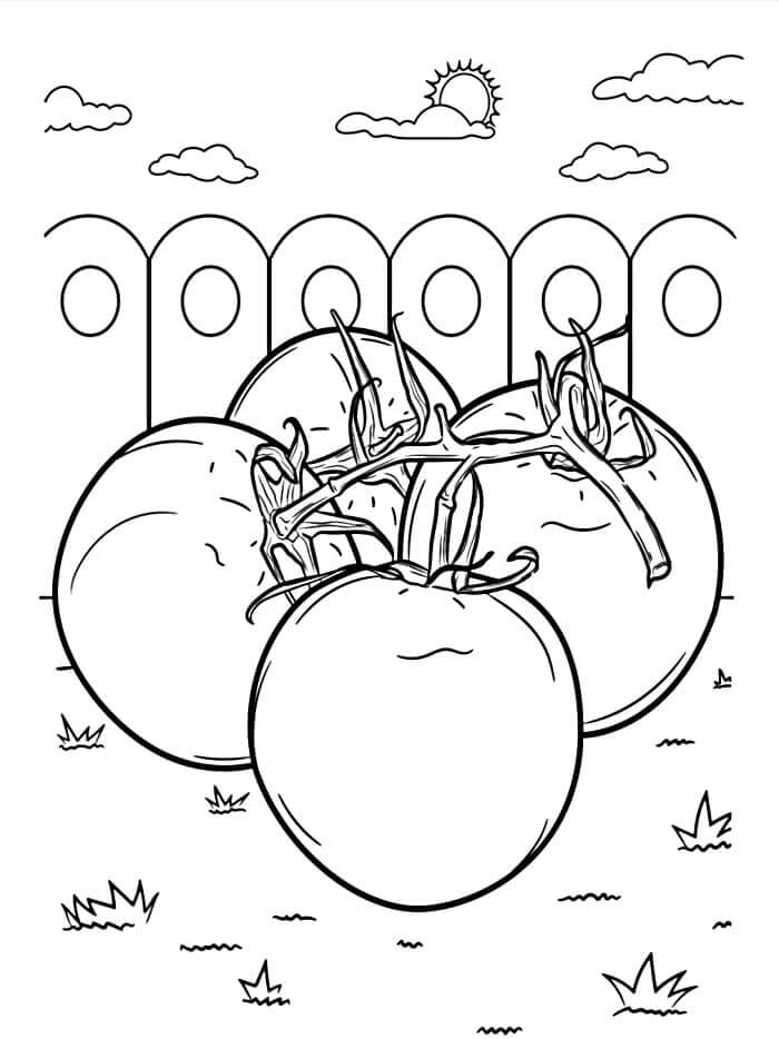 Zelenina (7) omalovánka