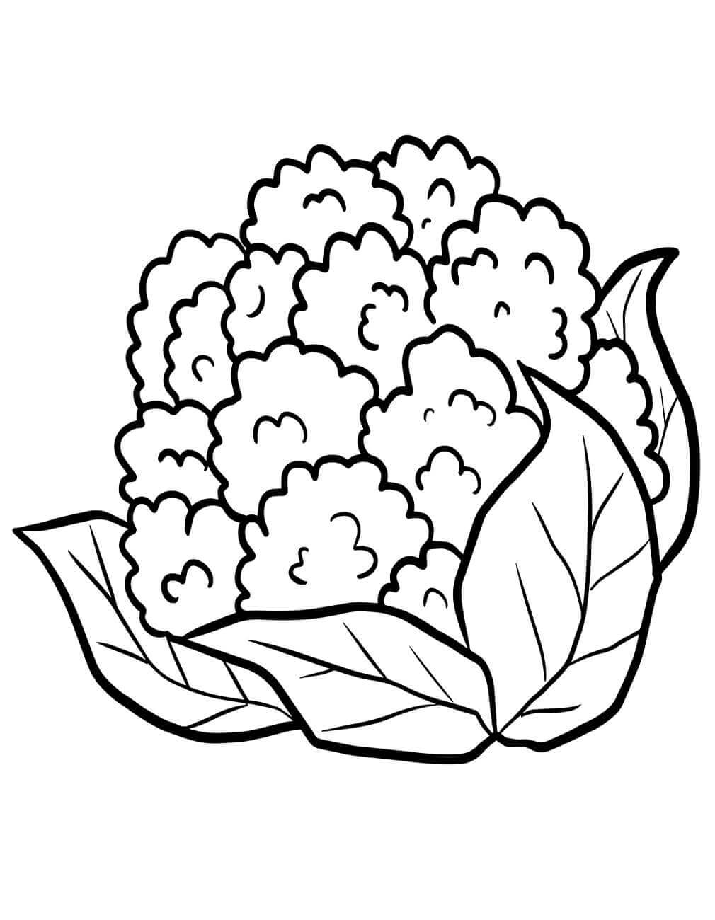 Zelenina Tisknutelná Zdarma omalovánka