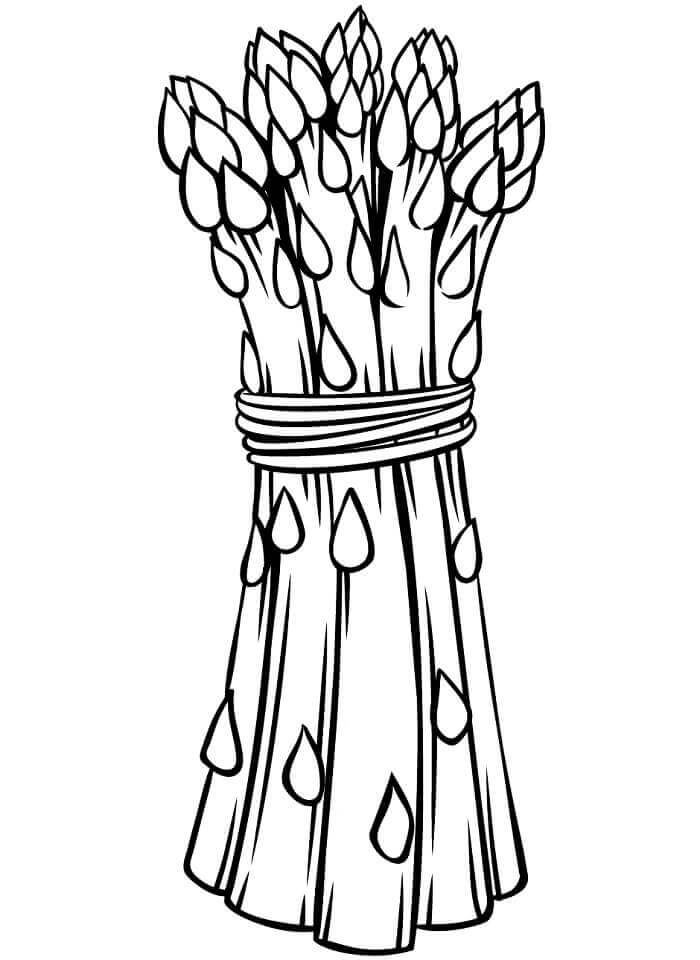 Zelenina Tisknutelná omalovánka