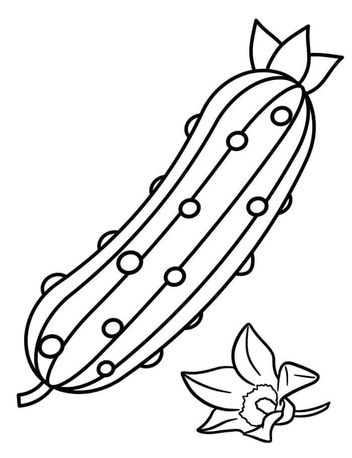 Zelenina Zdarma omalovánka