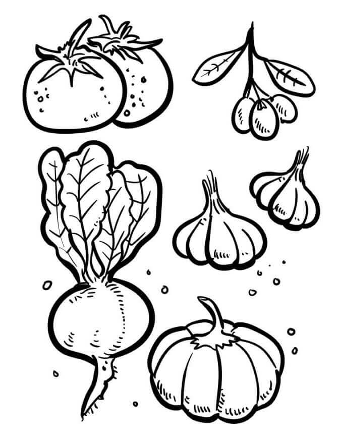 Omalovánky Zelenina