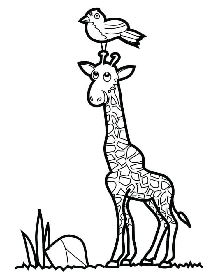 Žirafa Zdarma pro Děti omalovánka