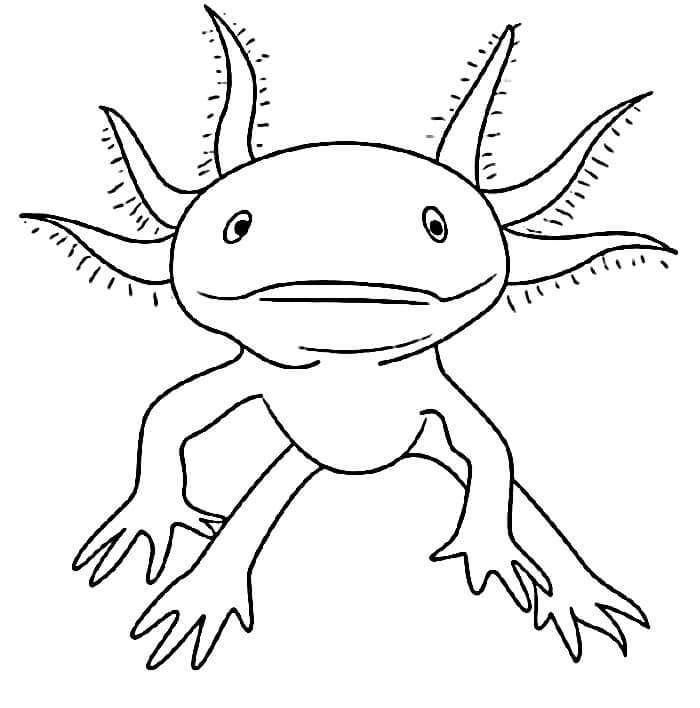 Axolotl Vymalovatelný pro Děti omalovánka