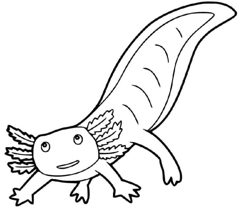 Axolotl pro 1leté Děti omalovánka
