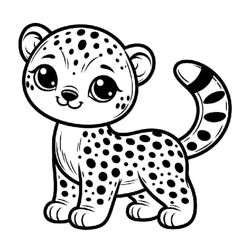 Gepard Zdarma Obrázek omalovánka