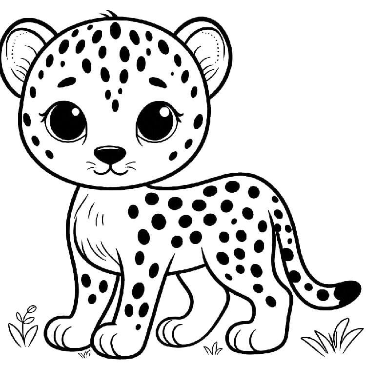 Gepard pro 2leté Děti omalovánka