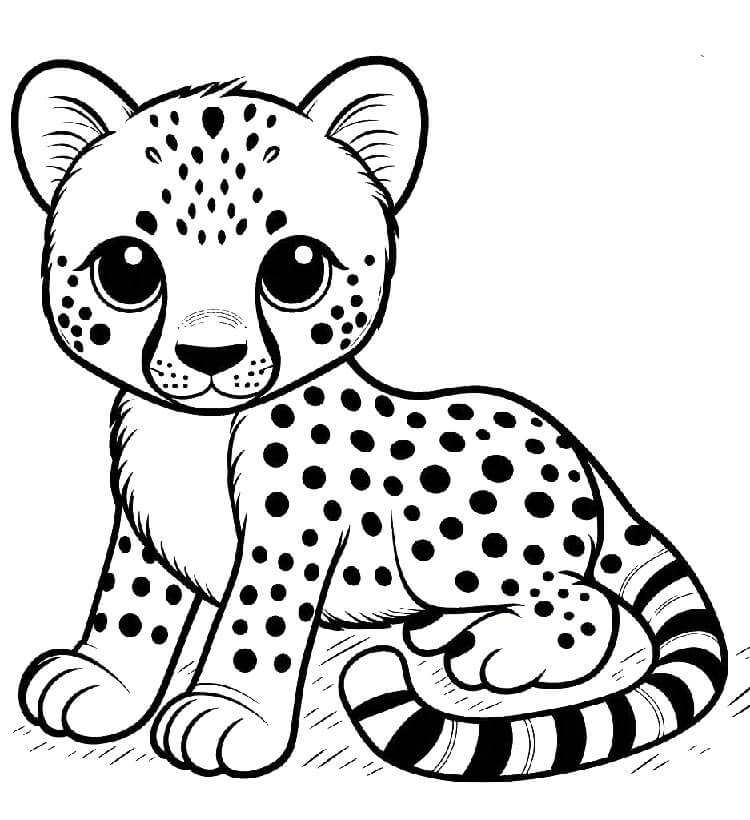 Gepard pro 5leté Děti omalovánka