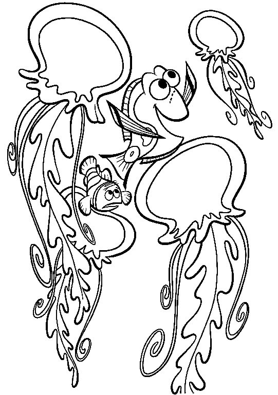 Hledá se Nemo (25) omalovánka