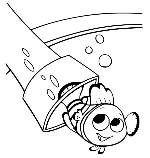 Hledá se Nemo (38) omalovánka