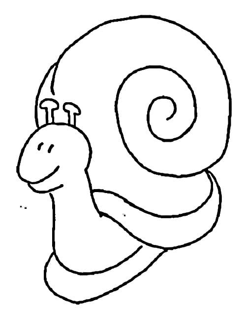 Hlemýžď Zdarama omalovánka