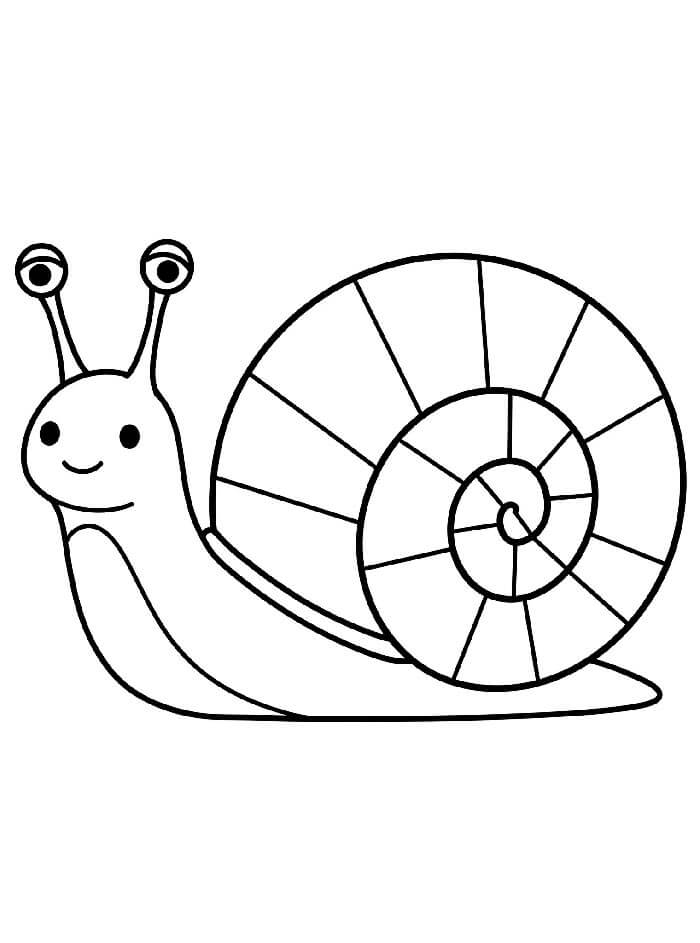 Hlemýžď Zdarma pro Děti omalovánka