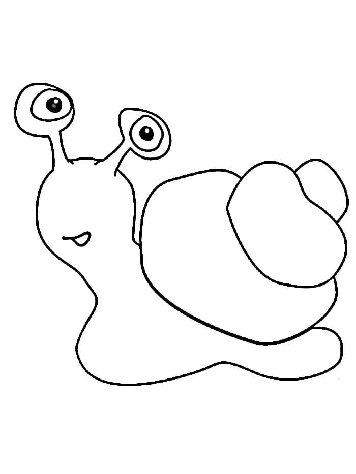 Hlemýžď Zdarma omalovánka