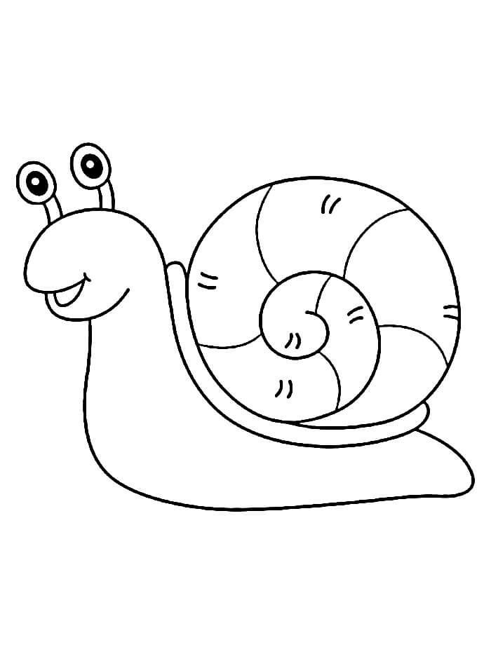 Hlemýžď k Vymalování omalovánka