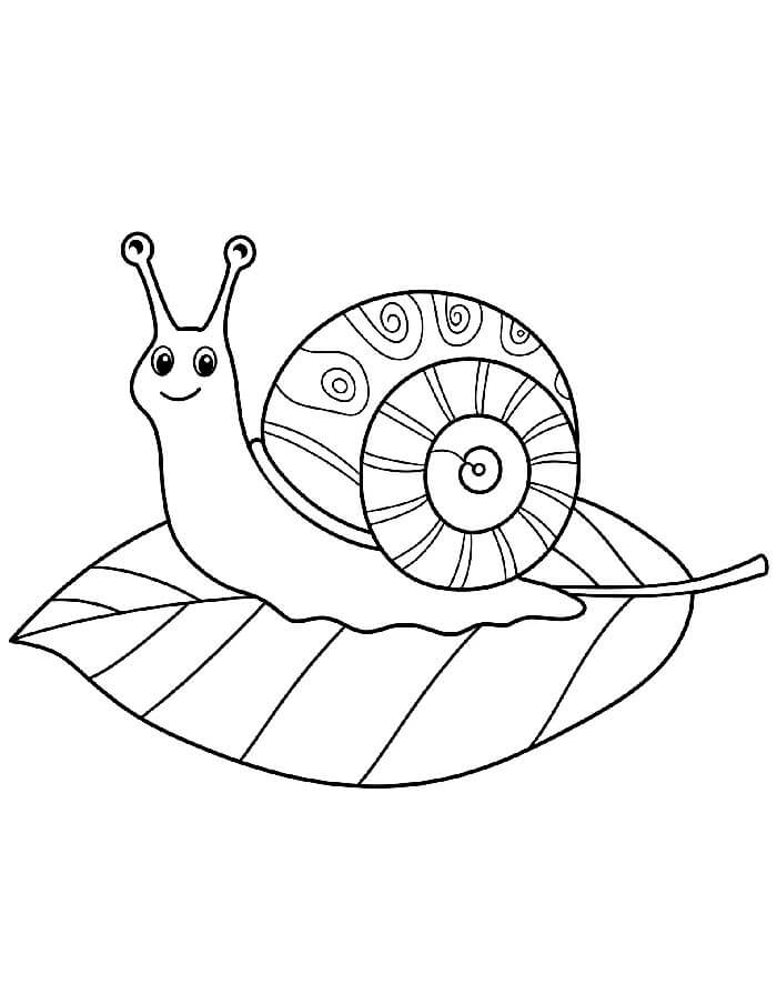 Hlemýžď k Vytisknutí omalovánka