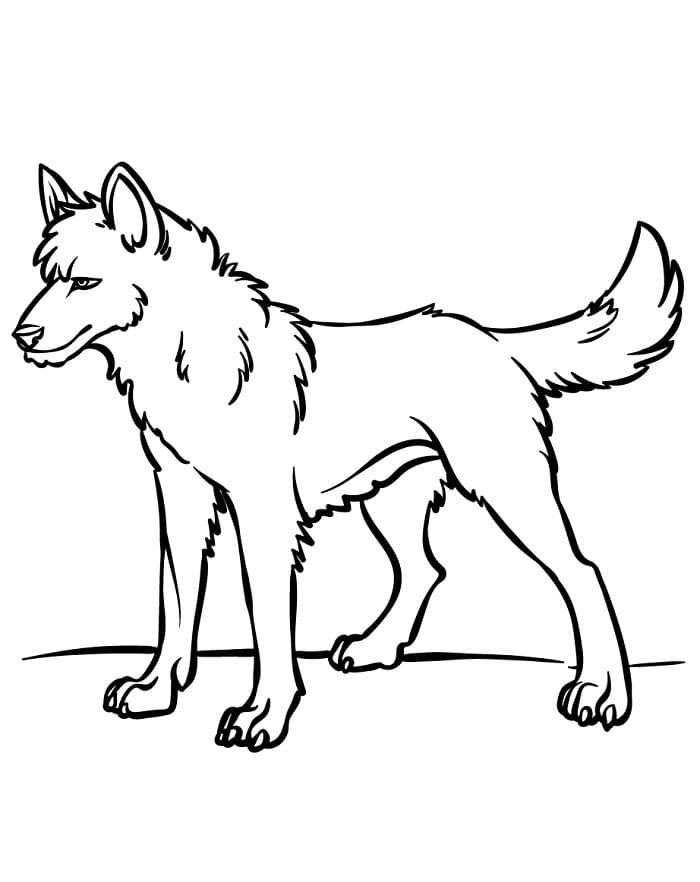 Jeden Vlk omalovánka
