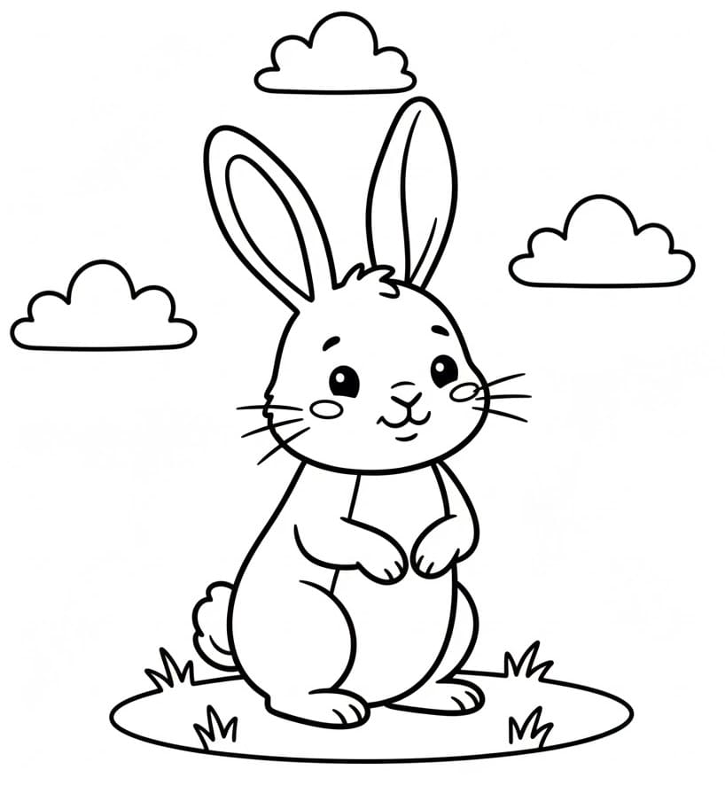 Jeden krásný králík omalovánka