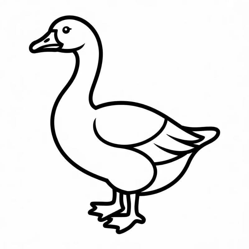 Jedna jednoduchá husa omalovánka